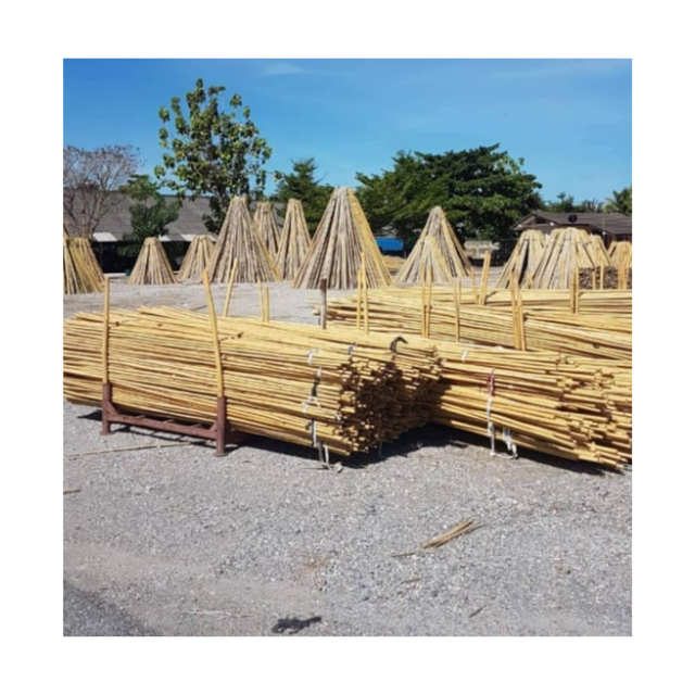 BAMBOO POLE FOR OUTDOOR CONSTRUCTION Packaging Details BUNCH IN PP - Image 4