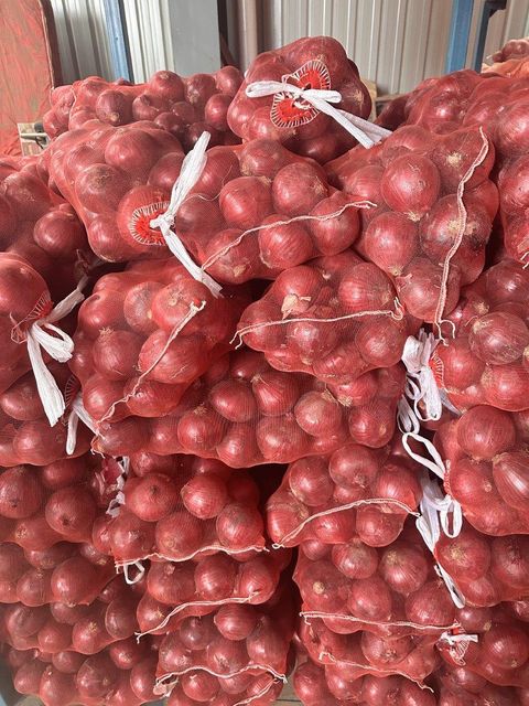 Fresh Onion / Red Onion / Yellow Onion / High Quality Chinese Onion for Export – Reliable Supplier from China - Image 3