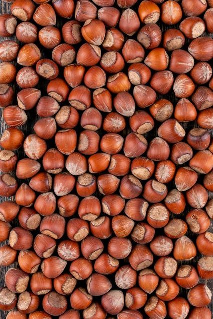 Factory Bulk Roasted Chopped Hazelnuts / Hazelnut Crumbs OEM for Baking & Confectionery - Image 4