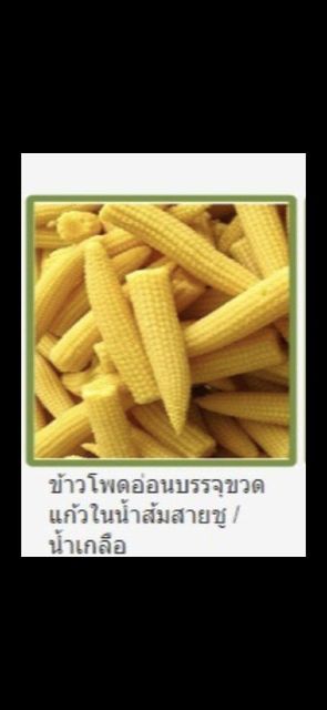Baby corn in brine - Image 1