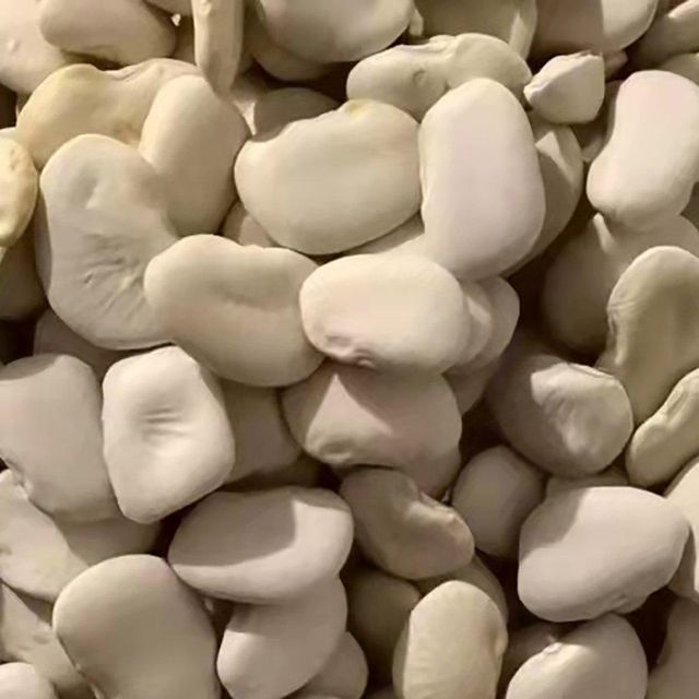 Factory Wholesale High Protein 25kg 50kg Bag White Bean Baifeng Kidney Bean Butter Bean - Image 4