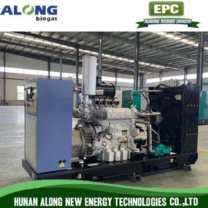Germany Man Gas Engine Generator Set - Image 3