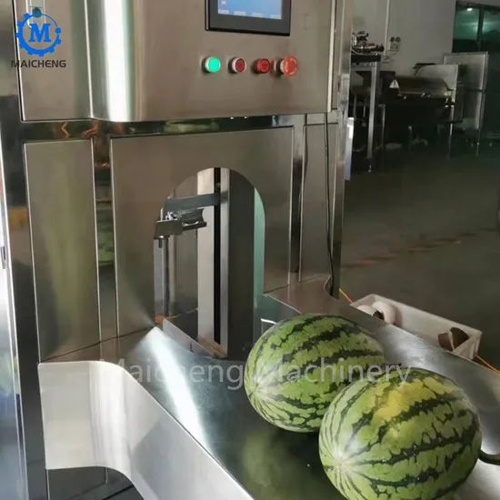 Large Vegetable Mango Melon Papaya Pumpkin Fruit Peeling Machine Kitchen Processing Equipment - Image 4
