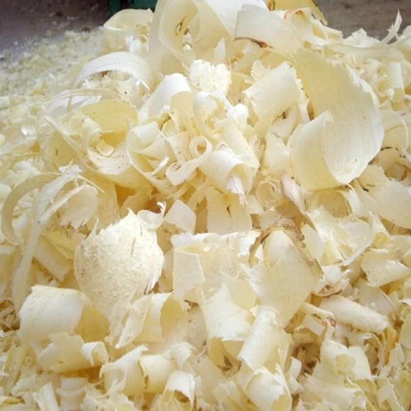 Premium Pine Shavings and Sawdust for Livestock Bedding – Bulk Export Supply ready for delivery - Image 4