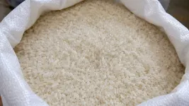 Steam Rice - Sona Masoori - Non Basmati - Gluten Free and Grade A Export Quality Rice - Image 3