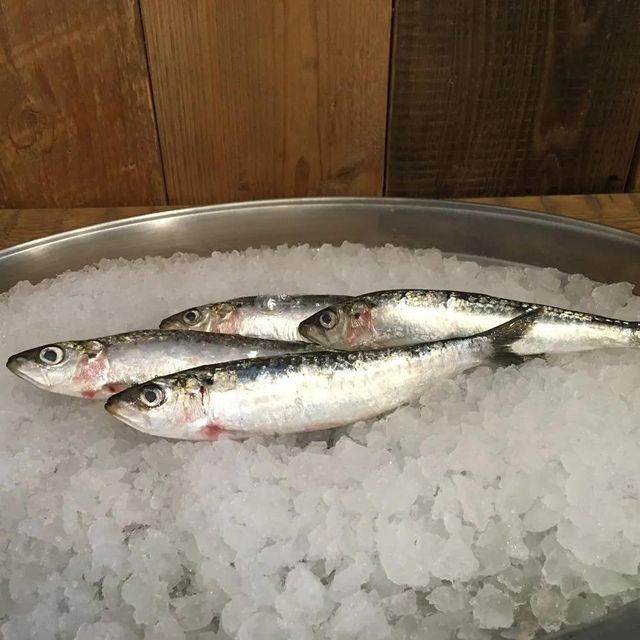 Frozen Sardine Fish Rich In Protein And Omega 3 Content For Food Service Providers And Wholesale Seafood Supply - Image 3