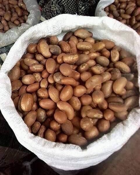 Cameroon Bitter Kola Nut Available Max. Moisture (%) 5% Shelf Life 24 months Place of Origin - Image 1