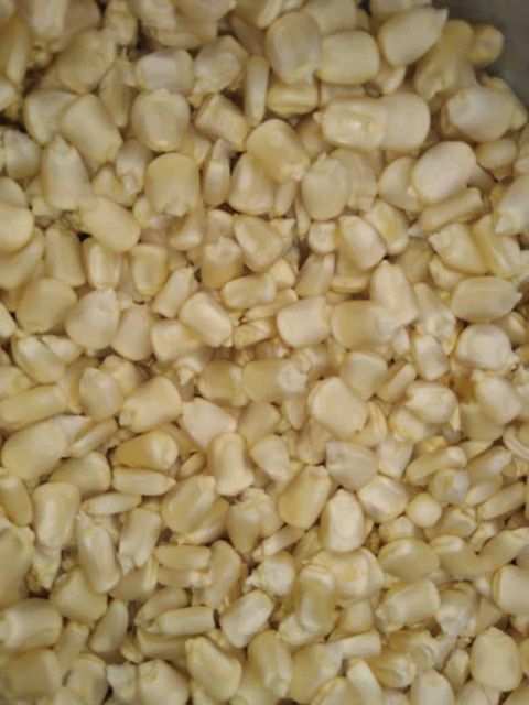 White corn for human consumption non gmo yellow corn yellow corn for animal for more details whatsap +255787979235 - Image 4