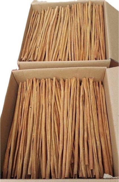 Long stick cassia - Image 1