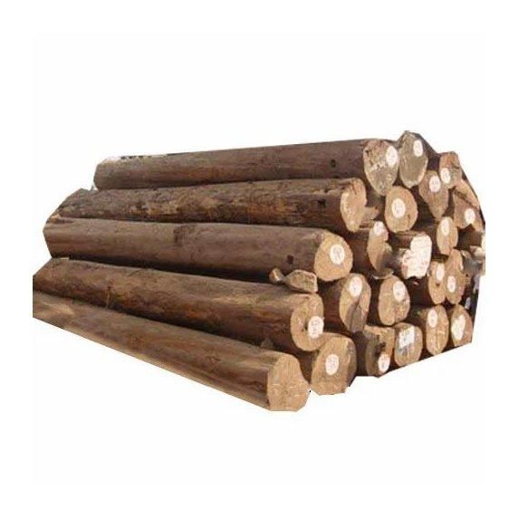 High quality beech logs available at factory price for wholesale buyers - Image 5