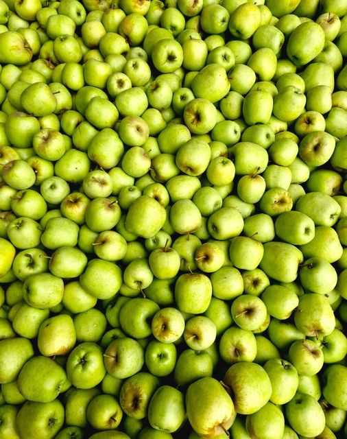 Quality Golden Delicious apples available - Image 4