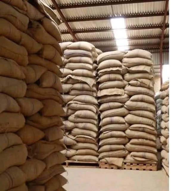 Premium ARABICA GREEN COFFEE Product - Supplier of Coffee Beans to Many Countries - Image 3