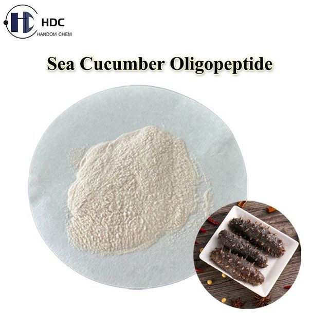Sea Cucumber Peptide used to lower blood lipids, enhance immunity and improve sleep - Image 2