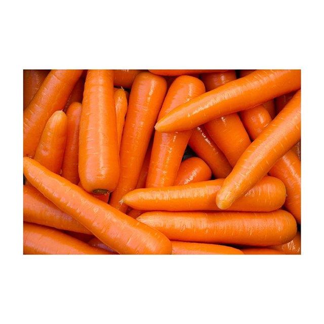 Fresh carrots available in bulk for global produce wholesalers and importers - Image 1