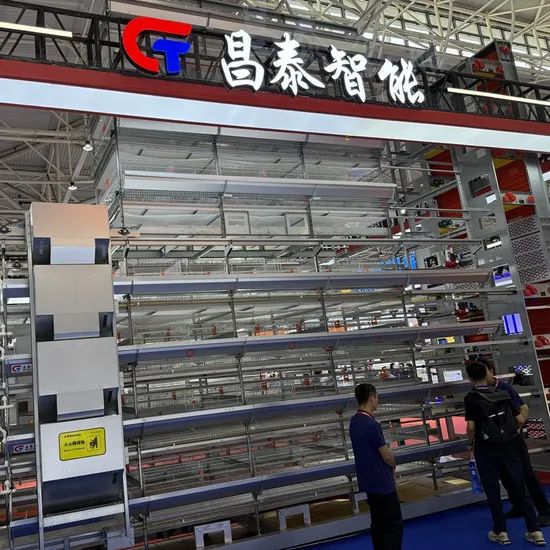Hot Galvanizing Good Quality H Type Farming Poultry Battery Cage - Image 2