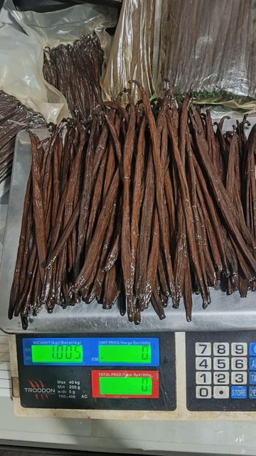 Vanilla Beans - Image 4