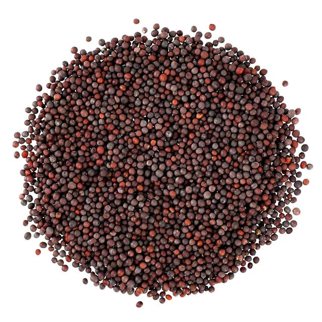Mustard Seeds Brown Mustard Seeds 5Lbs, Wholesale Bulk Spices on SALE Canada — Bulk Mart Best quality with good price  Mustard Seeds Brown – Aiva Products - Image 3