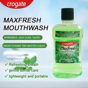 Custom Mint Flavor Probiotics Whitening Toothpaste for Fresh Breath - Image 3