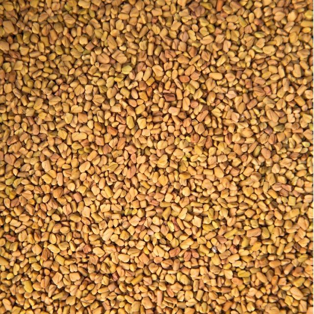 Fenugreek Seeds 98% Cleanliness Standard For Food Preparation Herbal Blends And Nutritional Ingredient Demand - Image 3