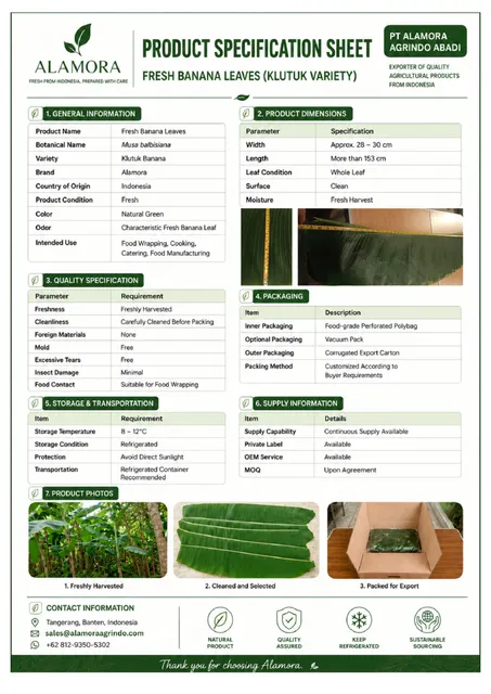 Fresh Banana Leaves - Image 2