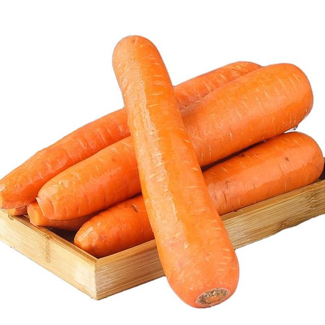 Organic fresh carrots premium quality sweet taste crunchy texture farm grown vegetable ideal for export - Image 3