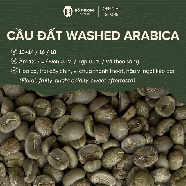 Arabica Green Coffee Beans - Cầu Đất - Image 2