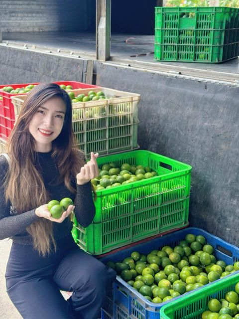 Seedless Lime Packaging 4,5kgs - 5kgs - - Image 8