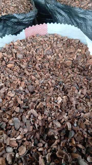 Cocoa husk shell - Image 2