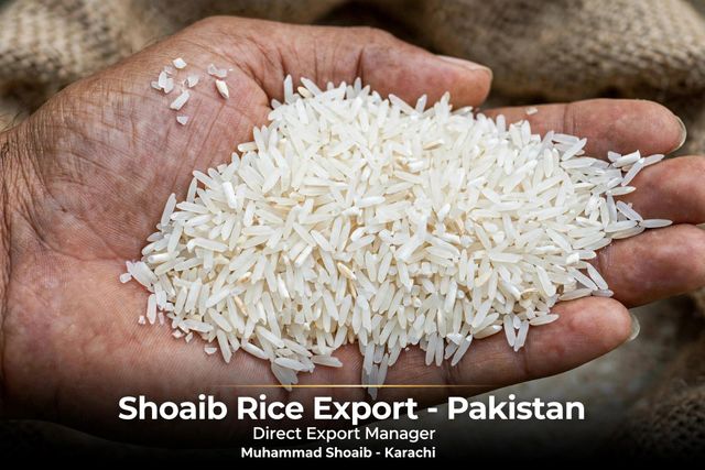 IRRI-6 LONG GRAIN WHITE RICE 10% Broken - Pakistan Origin - Image 5