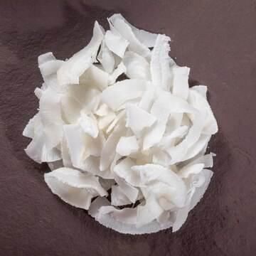 COCONUT CHIPS - Image 1