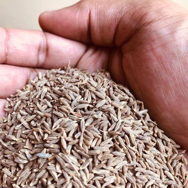 Bulk Cumin Seeds Natural Cumin Flavor For Food Processing And Exporters Premium Quality High Aroma Seeds - Image 4