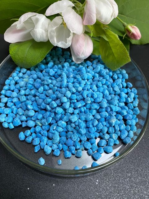 Agricultural Grade Nitrate Fertilizer Ammonium Sulfate 21% (NH4) 2so4 for Plant Growth - Image 3