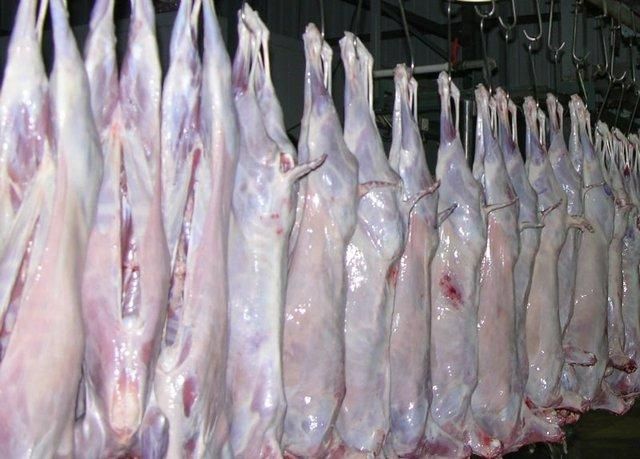 Premium Chilled Goat Meat Carcasses - Image 3