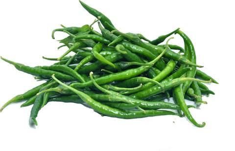 Green Chilli - Image 1