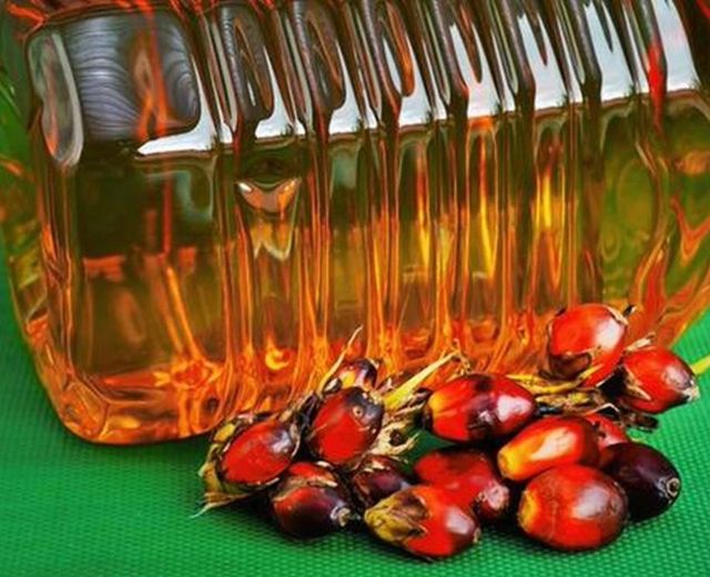 Organic Refined Palm Oil / Fractionated Palm Kernel Oil-High Purity 99% Grade Food Grade Cooking Oil Belgium Factory Supply - Image 5