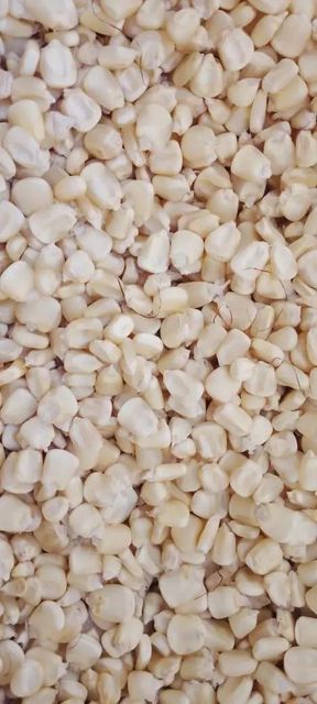 Coffee, Cocoa,maize, beans - Image 3