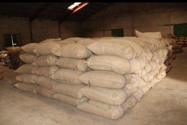 Premium Kenya Arabica Green Coffee Beans - AA, AB, PB, C, TT, C, T - Bulk Supply - FOB, CIF - Image 4