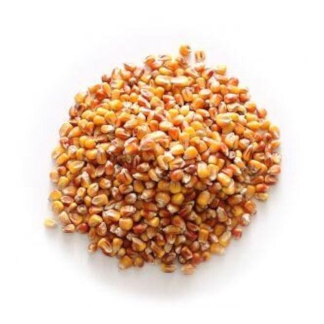 Premium Export Quality Yellow Kernel White/Yellow Maize For Global Importers With Bulk Packed Grain Supply - Image 3