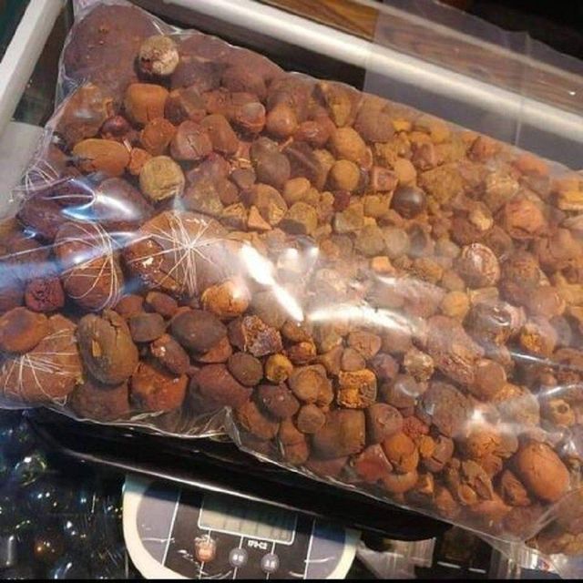 High Quality Premium Natural Ox Gallstones Cattle Hand-Picked Animal Extracts Food Grade Made in Germany 2 Year Shelf Li - Image 5