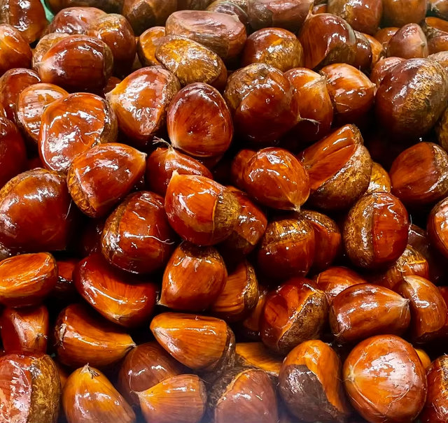 Fresh Chestnut - Image 3