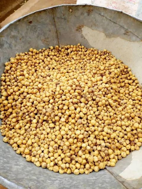 Wholesale tiger nuts provided at low cost for retailers and international distributors whatsap +255762500052 - Image 4