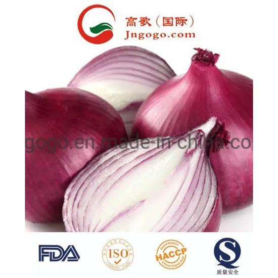 New Crop Export Good Quality Chinese Red Onion Color Red Shape Oval Type Whole Trademark GOGO Size 3.0cm and up HS Code - Image 1