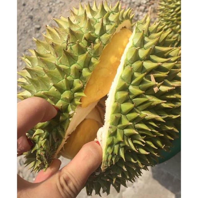 Wholesale Durian fruit PRICE OF WHOLE FROZEN DURIAN Frozen With Unique Taste Smell King Of Fruits Origin Vietnam - Image 3