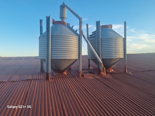 Low cost fee oil plant for palm / peanut / soy bean / sesame - Image 5