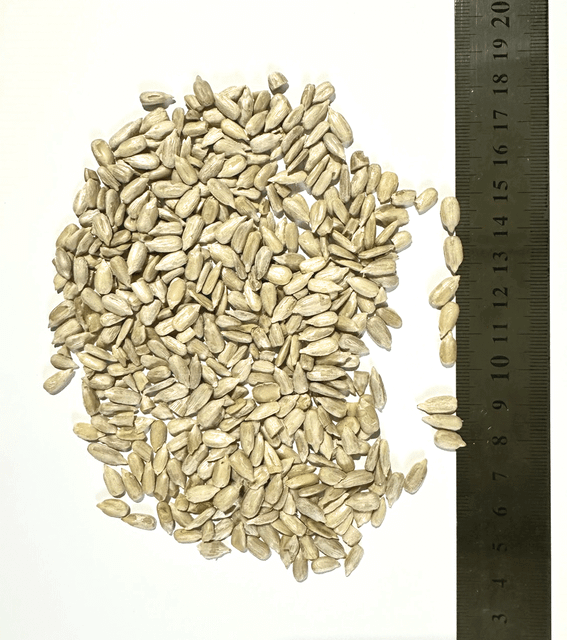 Sunflower Kernels - Image 1