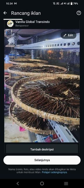 Vanilla Beans - Image 3
