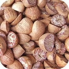Dried Split Betel Nut Place of Origin THAILAND Place Of Origin Indonesia Active Compound Arecoline Province Propinsi Jaw - Image 4