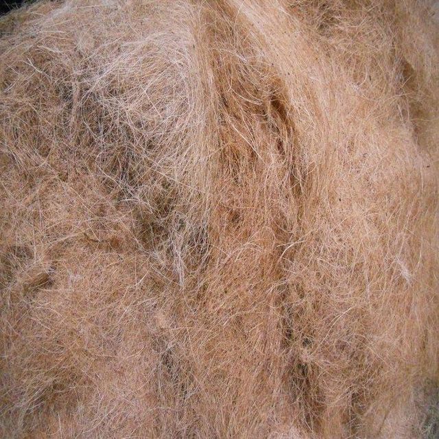 High Quality Coconut Coir Fiber Top Grade Spinning Industrial Use 24 Months Shelf Life Sustainable Agriculture Exported - Image 4