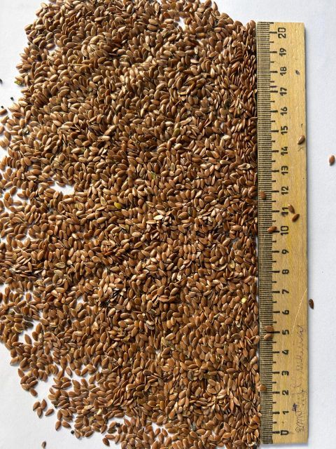 Linseeds - Image 1