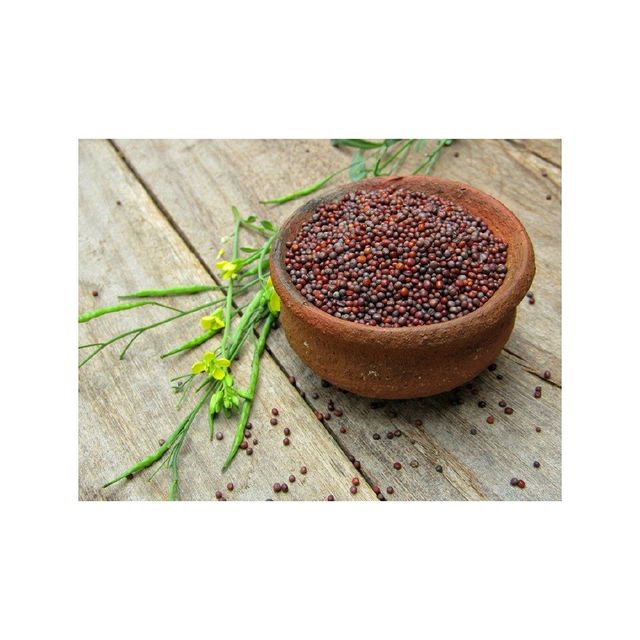 Low price Mustard Seeds for use in sauces dressings and food manufacturing - Image 4